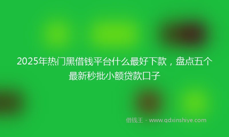 2025年热门黑借钱平台什么最好下款，盘点五个最新秒批小额贷款口子