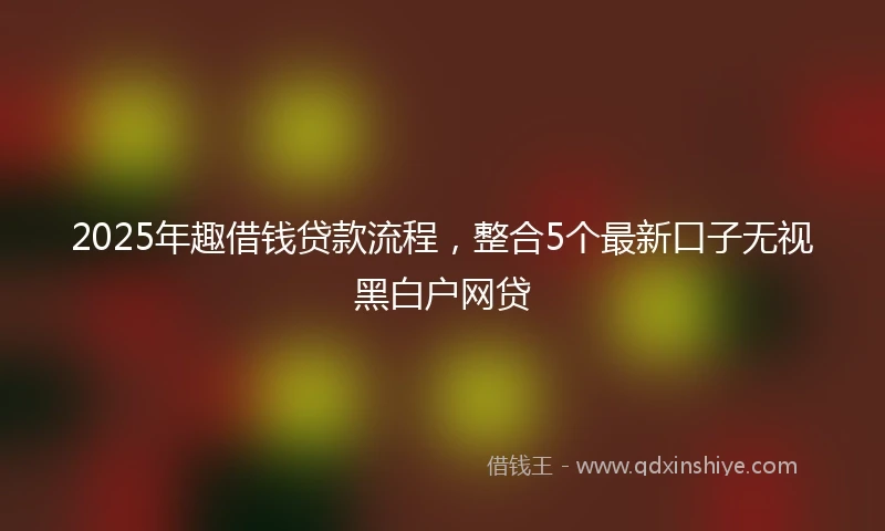 2025年趣借钱贷款流程，整合5个最新口子无视黑白户网贷