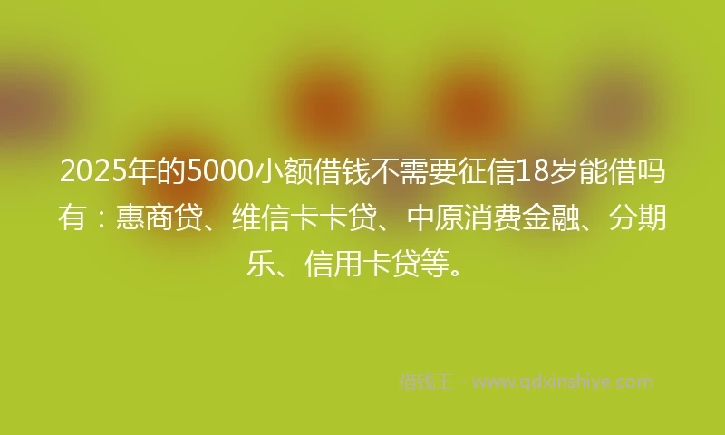 2025年的5000小额借钱不需要征信18岁能借吗有：惠商贷、维信卡卡贷、中原消费金融、分期乐、信用卡贷等。