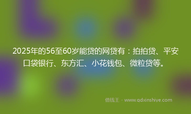 2025年的56至60岁能贷的网贷有：拍拍贷、平安口袋银行、东方汇、小花钱包、微粒贷等。