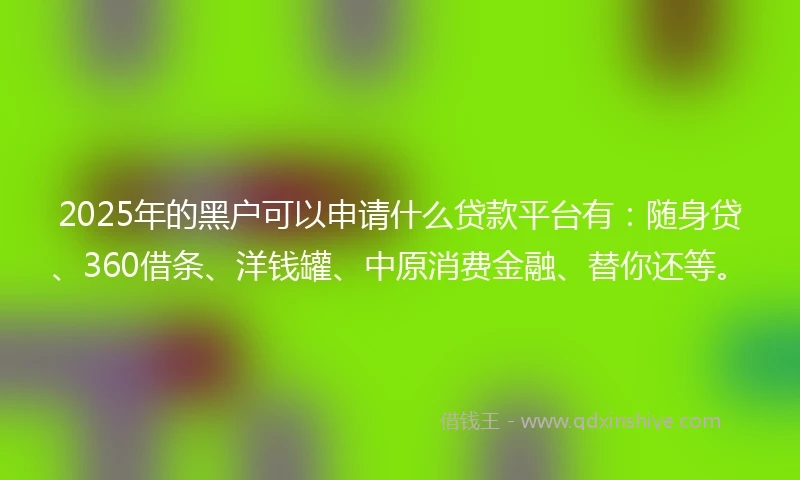 2025年的黑户可以申请什么贷款平台有：随身贷、360借条、洋钱罐、中原消费金融、替你还等。