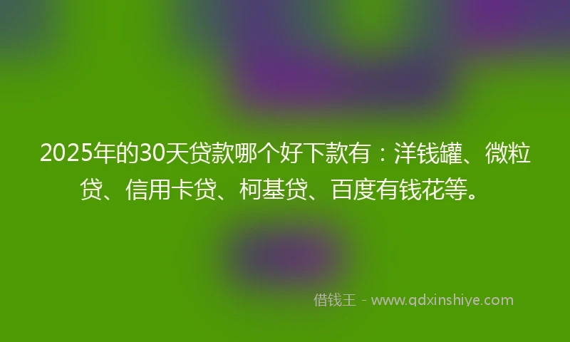 2025年的30天贷款哪个好下款有：洋钱罐、微粒贷、信用卡贷、柯基贷、百度有钱花等。