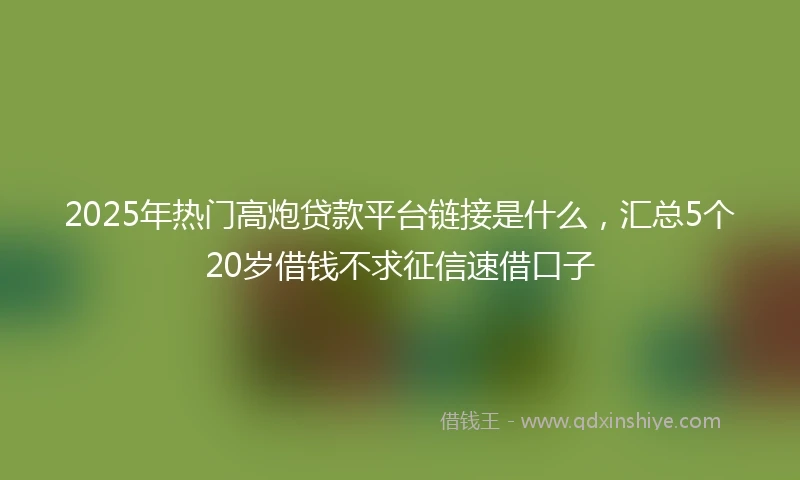 2025年热门高炮贷款平台链接是什么，汇总5个20岁借钱不求征信速借口子