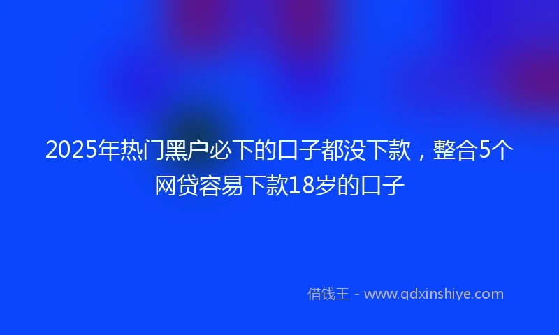2025年热门黑户必下的口子都没下款，整合5个网贷容易下款18岁的口子