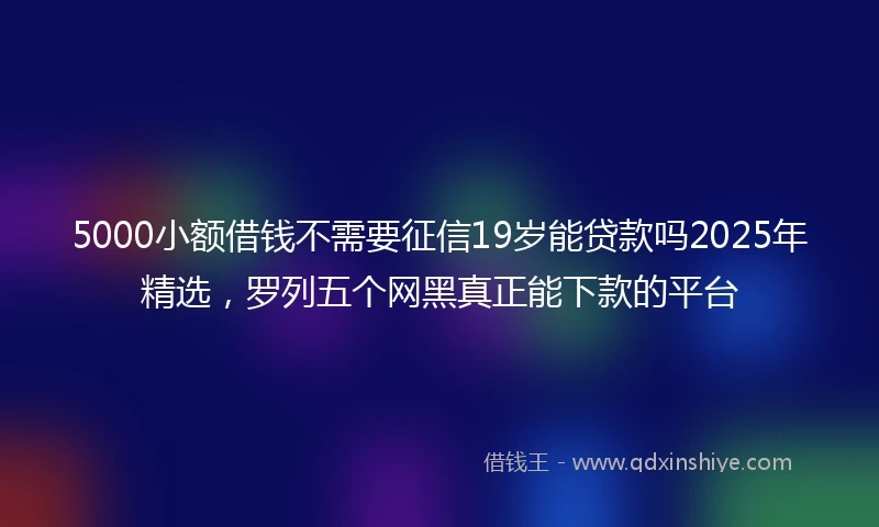 5000小额借钱不需要征信19岁能贷款吗2025年精选，罗列五个网黑真正能下款的平台