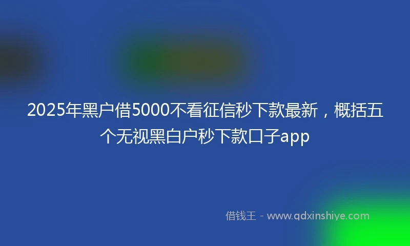 2025年黑户借5000不看征信秒下款最新，概括五个无视黑白户秒下款口子app