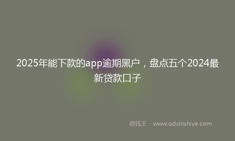 2025年能下款的app逾期黑户，盘点五个2024最新贷款口子