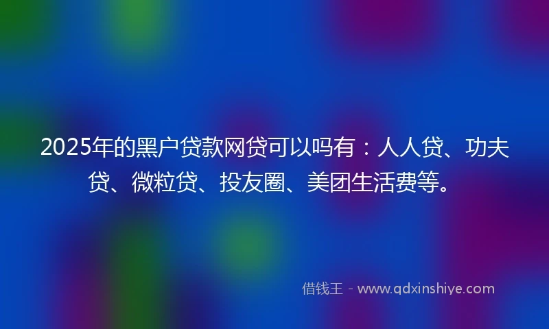 2025年的黑户贷款网贷可以吗有：人人贷、功夫贷、微粒贷、投友圈、美团生活费等。