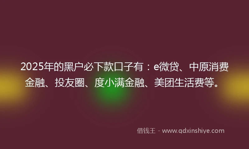 2025年的黑户必下款口子有：e微贷、中原消费金融、投友圈、度小满金融、美团生活费等。