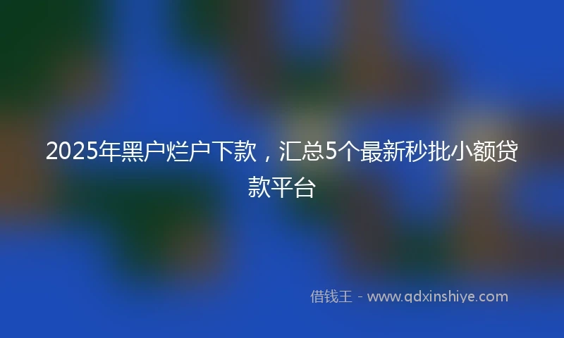 2025年黑户烂户下款，汇总5个最新秒批小额贷款平台