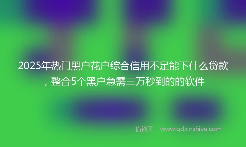 2025年热门黑户花户综合信用不足能下什么贷款，整合5个黑户急需三万秒到的的软件