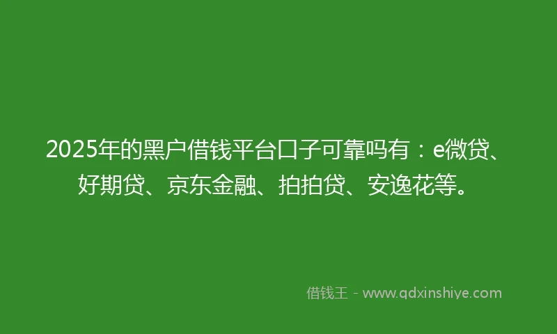 2025年的黑户借钱平台口子可靠吗有：e微贷、好期贷、京东金融、拍拍贷、安逸花等。