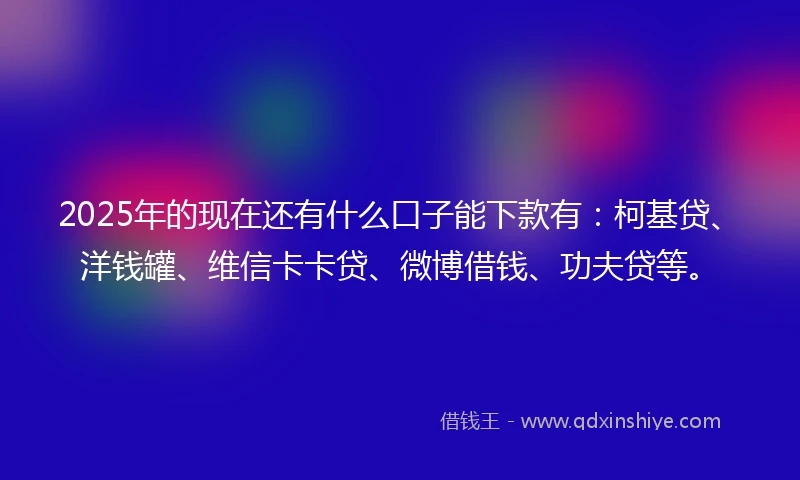 2025年的现在还有什么口子能下款有：柯基贷、洋钱罐、维信卡卡贷、微博借钱、功夫贷等。