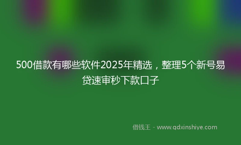 500借款有哪些软件2025年精选，整理5个新号易贷速审秒下款口子