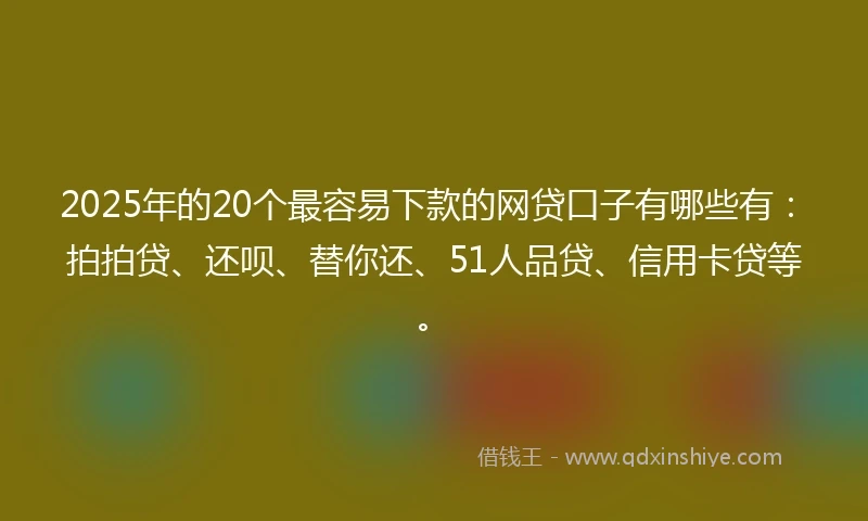 2025年的20个最容易下款的网贷口子有哪些有：拍拍贷、还呗、替你还、51人品贷、信用卡贷等。