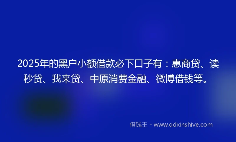2025年的黑户小额借款必下口子有：惠商贷、读秒贷、我来贷、中原消费金融、微博借钱等。