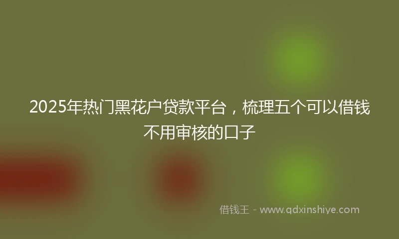 2025年热门黑花户贷款平台，梳理五个可以借钱不用审核的口子