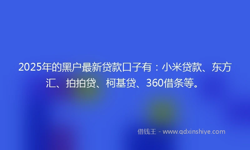 2025年的黑户最新贷款口子有：小米贷款、东方汇、拍拍贷、柯基贷、360借条等。