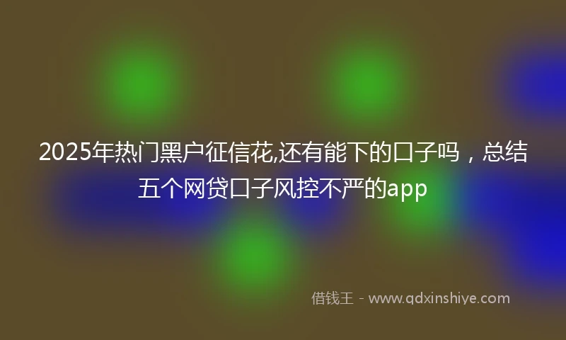 2025年热门黑户征信花,还有能下的口子吗，总结五个网贷口子风控不严的app