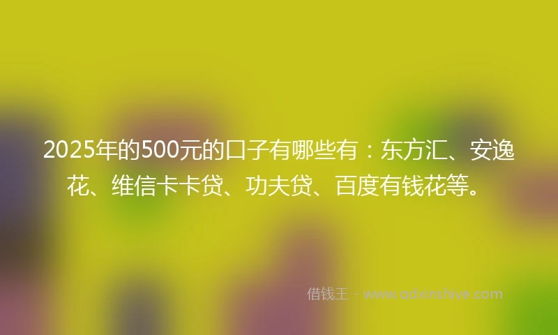 2025年的500元的口子有哪些有：东方汇、安逸花、维信卡卡贷、功夫贷、百度有钱花等。