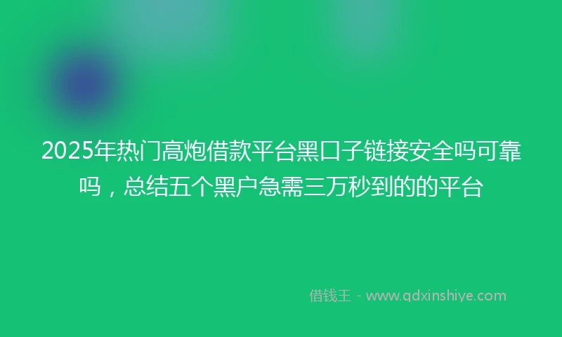 2025年热门高炮借款平台黑口子链接安全吗可靠吗，总结五个黑户急需三万秒到的的平台