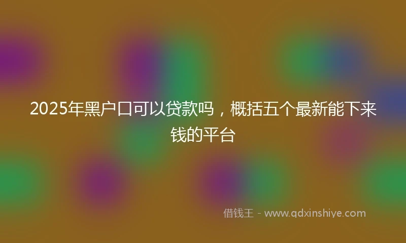 2025年黑户口可以贷款吗，概括五个最新能下来钱的平台