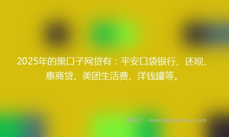 2025年的黑口子网贷有：平安口袋银行、还呗、惠商贷、美团生活费、洋钱罐等。