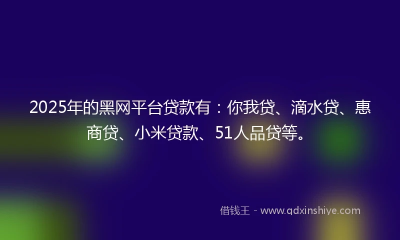 2025年的黑网平台贷款有：你我贷、滴水贷、惠商贷、小米贷款、51人品贷等。