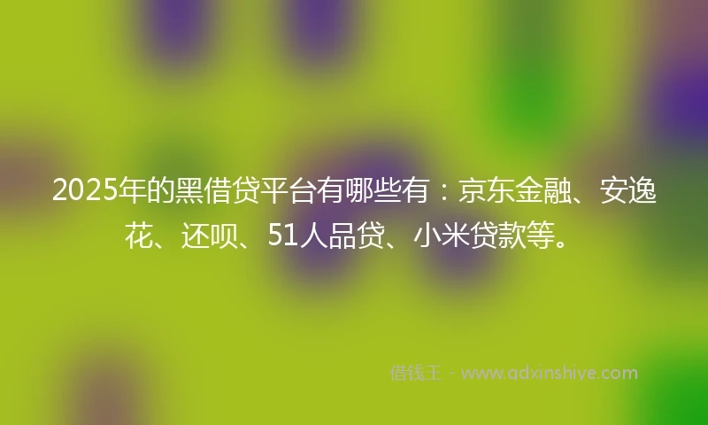 2025年的黑借贷平台有哪些有：京东金融、安逸花、还呗、51人品贷、小米贷款等。