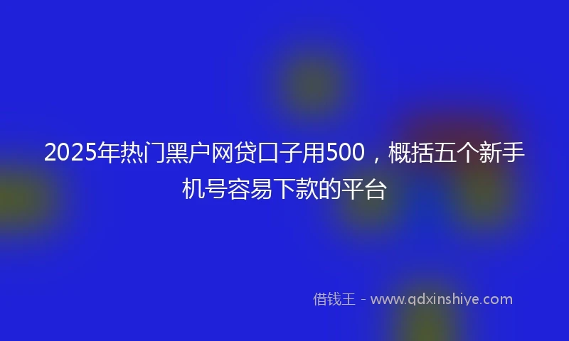 2025年热门黑户网贷口子用500，概括五个新手机号容易下款的平台