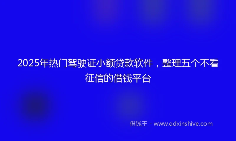 2025年热门驾驶证小额贷款软件，整理五个不看征信的借钱平台