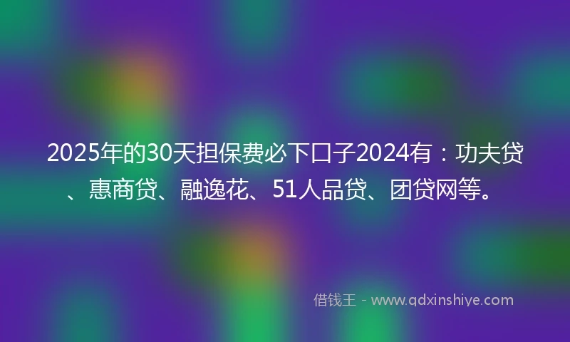 2025年的30天担保费必下口子2024有：功夫贷、惠商贷、融逸花、51人品贷、团贷网等。