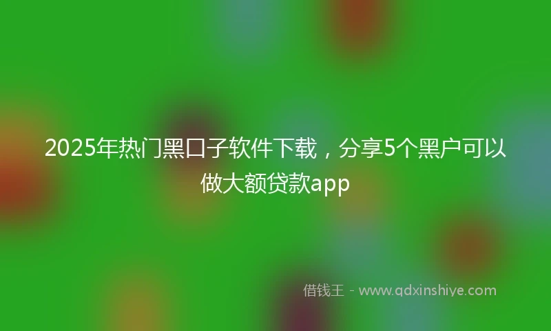 2025年热门黑口子软件下载，分享5个黑户可以做大额贷款app