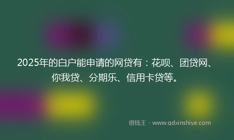 2025年的白户能申请的网贷有：花呗、团贷网、你我贷、分期乐、信用卡贷等。