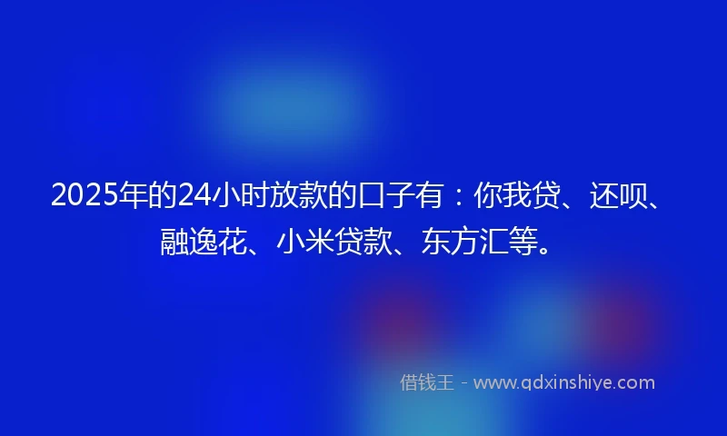 2025年的24小时放款的口子有：你我贷、还呗、融逸花、小米贷款、东方汇等。