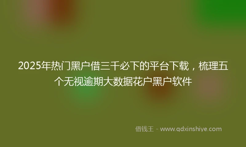 2025年热门黑户借三千必下的平台下载，梳理五个无视逾期大数据花户黑户软件