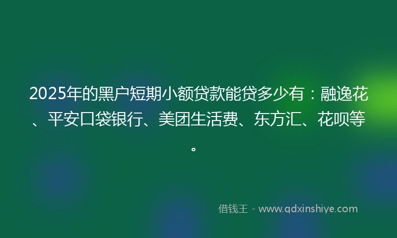 2025年的黑户短期小额贷款能贷多少有：融逸花、平安口袋银行、美团生活费、东方汇、花呗等。