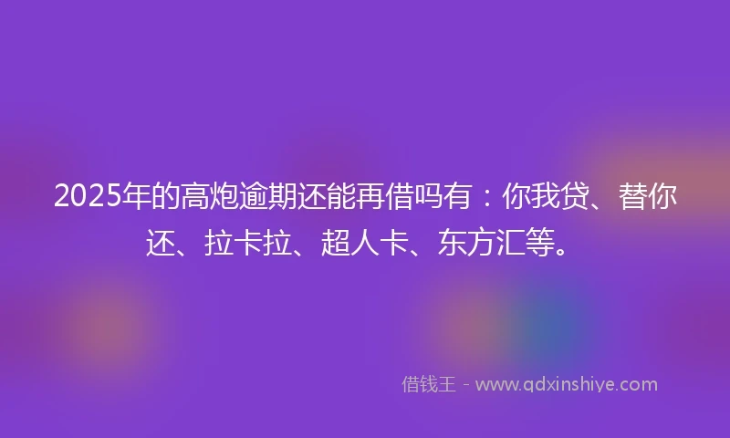 2025年的高炮逾期还能再借吗有：你我贷、替你还、拉卡拉、超人卡、东方汇等。