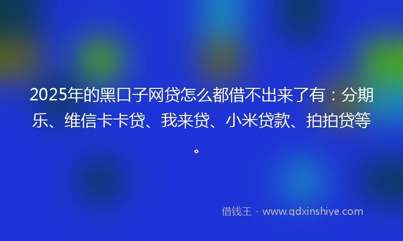 2025年的黑口子网贷怎么都借不出来了有：分期乐、维信卡卡贷、我来贷、小米贷款、拍拍贷等。