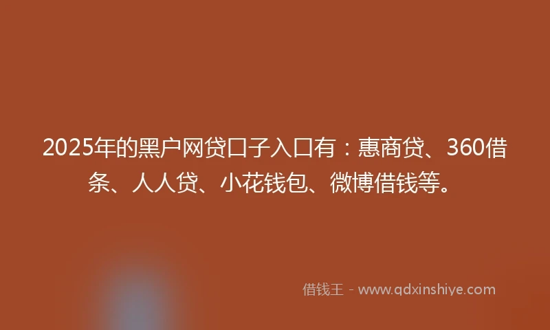 2025年的黑户网贷口子入口有：惠商贷、360借条、人人贷、小花钱包、微博借钱等。