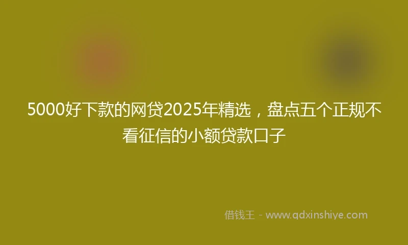 5000好下款的网贷2025年精选，盘点五个正规不看征信的小额贷款口子