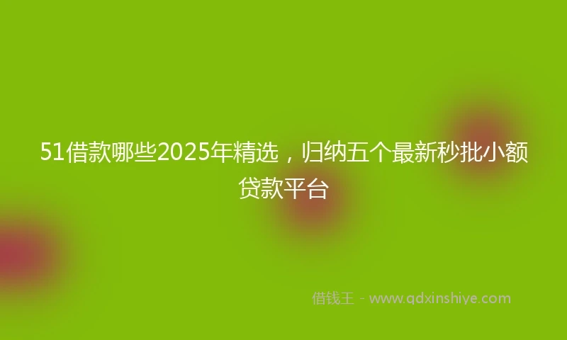 51借款哪些2025年精选，归纳五个最新秒批小额贷款平台