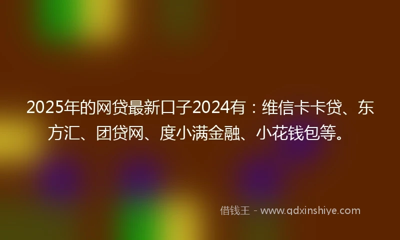 2025年的网贷最新口子2024有：维信卡卡贷、东方汇、团贷网、度小满金融、小花钱包等。
