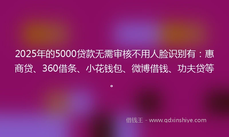 2025年的5000贷款无需审核不用人脸识别有：惠商贷、360借条、小花钱包、微博借钱、功夫贷等。