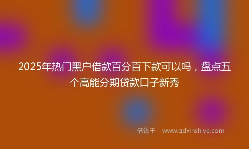 2025年热门黑户借款百分百下款可以吗，盘点五个高能分期贷款口子新秀