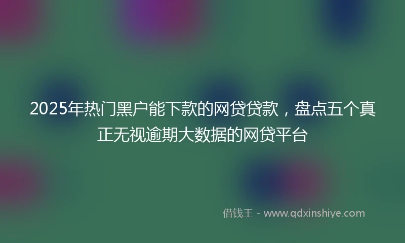 2025年热门黑户能下款的网贷贷款，盘点五个真正无视逾期大数据的网贷平台