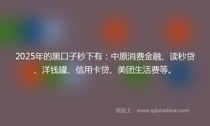 2025年的黑口子秒下有：中原消费金融、读秒贷、洋钱罐、信用卡贷、美团生活费等。