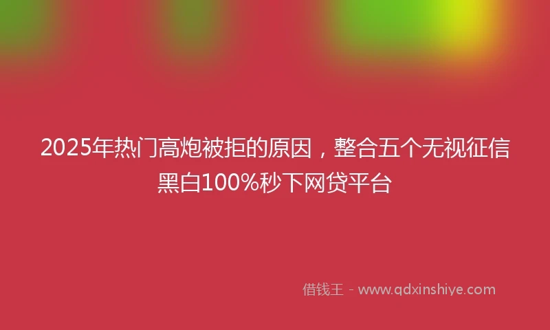2025年热门高炮被拒的原因，整合五个无视征信黑白100%秒下网贷平台