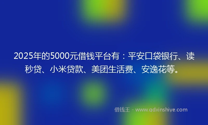 2025年的5000元借钱平台有：平安口袋银行、读秒贷、小米贷款、美团生活费、安逸花等。