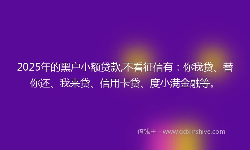 2025年的黑户小额贷款,不看征信有：你我贷、替你还、我来贷、信用卡贷、度小满金融等。